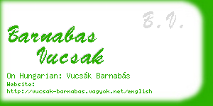 barnabas vucsak business card